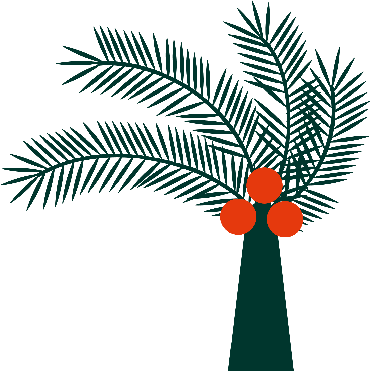 palm-tree